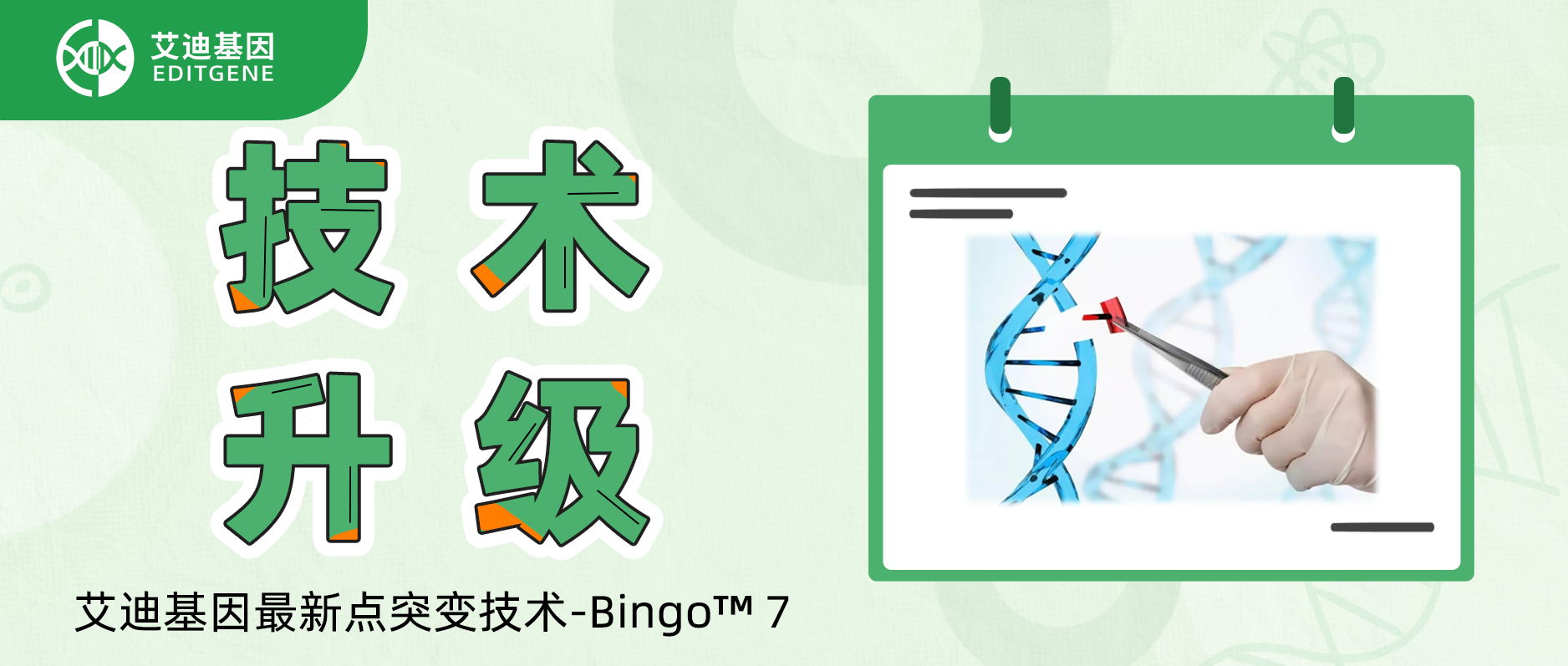 基因编辑精准与效率双向飙升！EVO视讯 EVO真人生命基因重磅推出升级基因定点突变技术-Bingo™ 7!