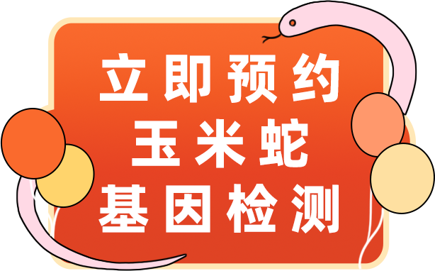 玉米蛇基因检测，让繁育更科学，成果可控