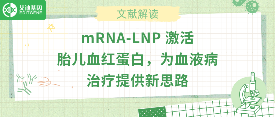 mRNA-LNP 激活胎儿血红蛋白，为血液病治疗给予新思路