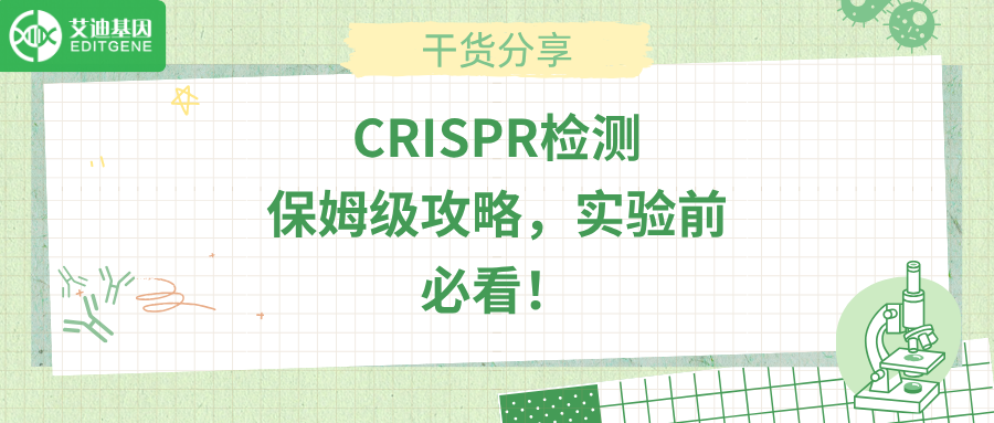 CRISPR检测保姆级攻略，实验前必看！