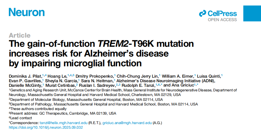 The gain-of-function TREM2-T96K mutation increases risk for Alzheimer&rsquo;s disease by impairing microglial function