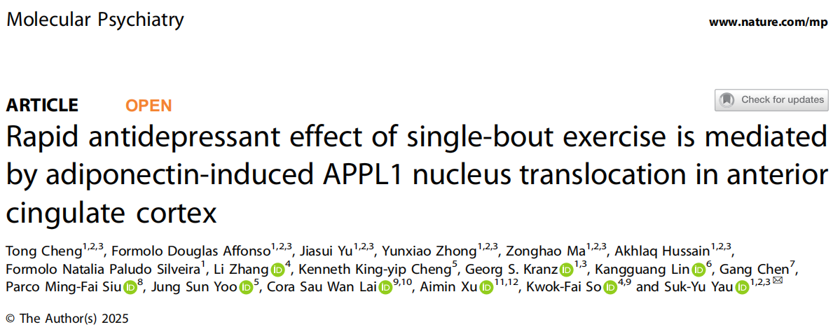 Rapid antidepressant effect of single-bout exercise is mediated by adiponectin-induced APPL1 nucleus trans in anterior cingulate cortex