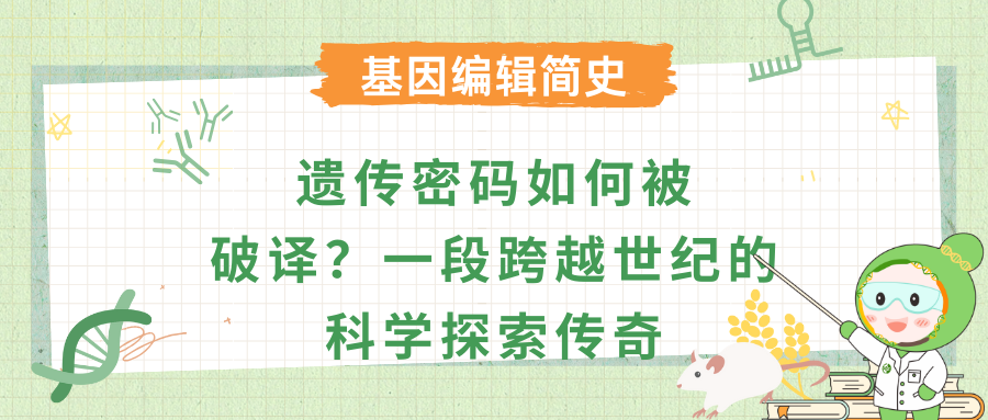 遗传密码如何被破译？一段跨越世纪的科学探索传奇