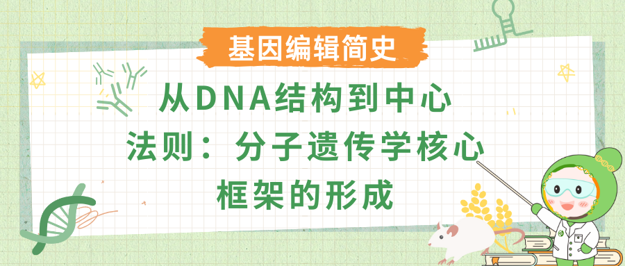 从DNA结构到中心法则：分子遗传学核心框架的形成